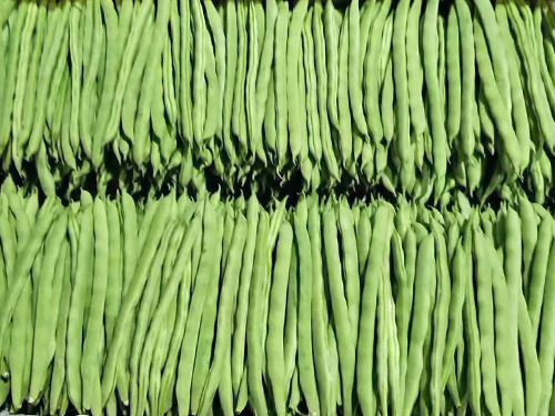 惠州蔬菜农产品配送前如何正确保鲜