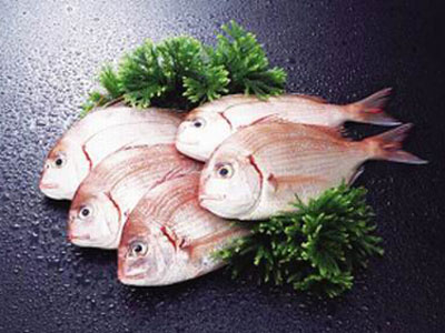 食材配送鱼主要有哪些营养成分在里面？