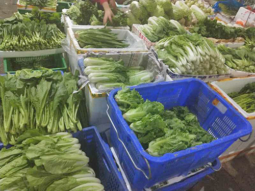惠州蔬菜配送中心方式与道理的分析